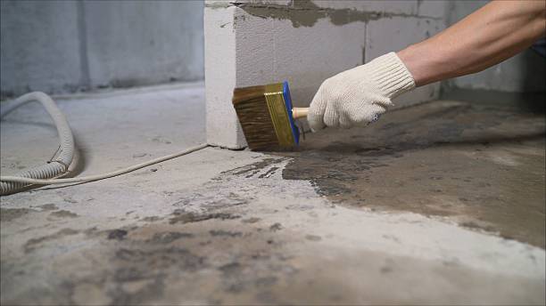 24/7 Emergency Waterproofing experts in Jenison, MI